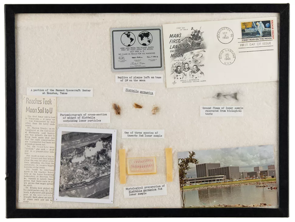 Entomologist Marion Brooks' specimen-mount display of her Apollo 11 lunar mementos, including three preserved cockroaches and a sample of the Apollo 11 moon dust removed from within them