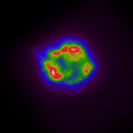 This image from NASA’s Imaging X-ray Polarimetry Explorer maps the intensity of X-rays coming from the observatory’s first target, the supernova remnant Cassiopeia A. Colors ranging from cool purple and blue to red and hot white correspond with the increasing brightness of the X-rays. The image was created using X-ray data collected by IXPE between Jan. 11-18.