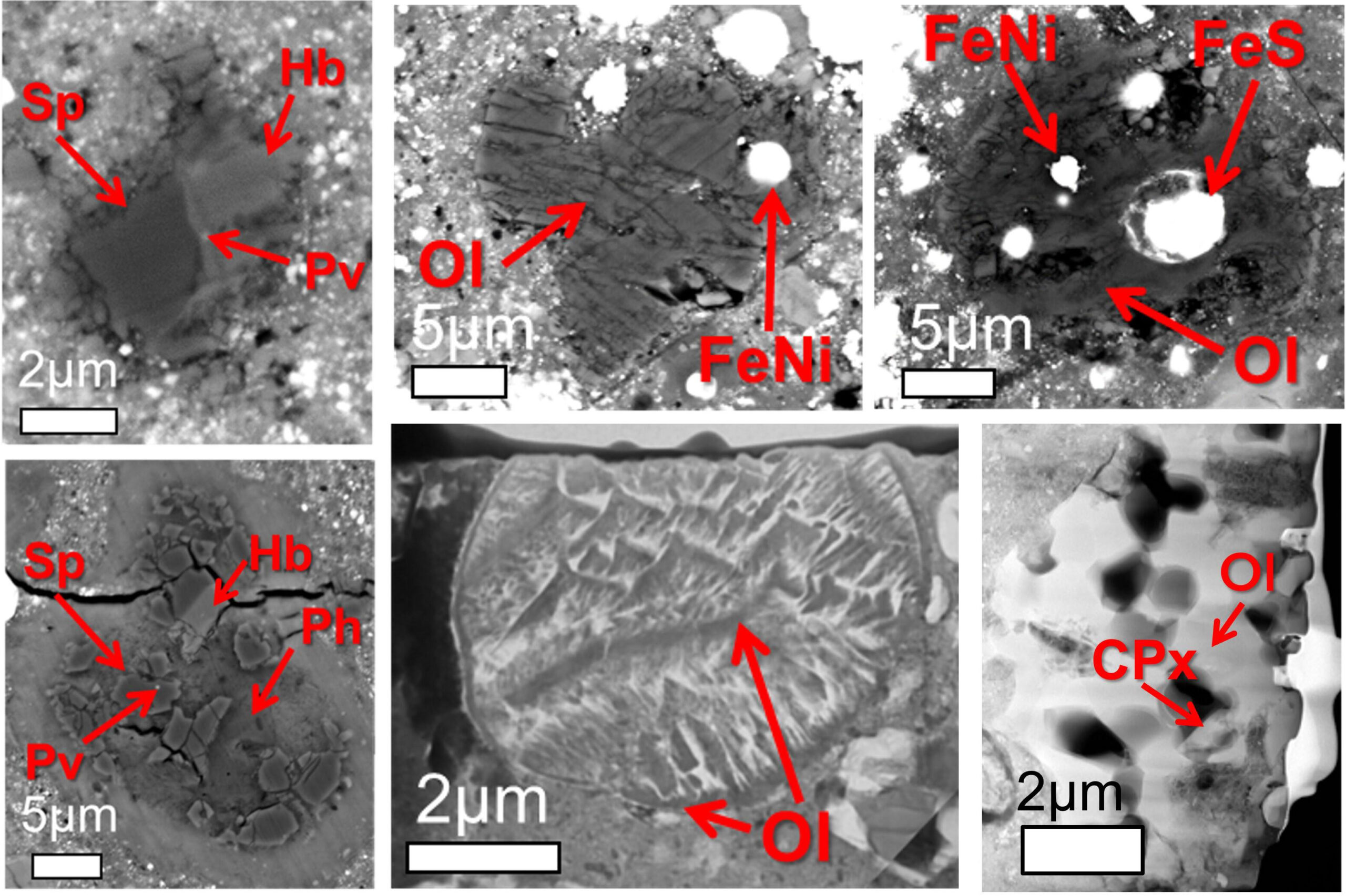 Particles formed in high temperature environments (over 1000°C) found in Ryugu samples (all electron micrographs). (A, B) Inclusions rich in calcium and aluminum, (B-D) spherulites formed from fused olivine (Ol), metallic iron (FeNi), and iron sulfide (FeS), (F) similar to stone aggregates Porous particles