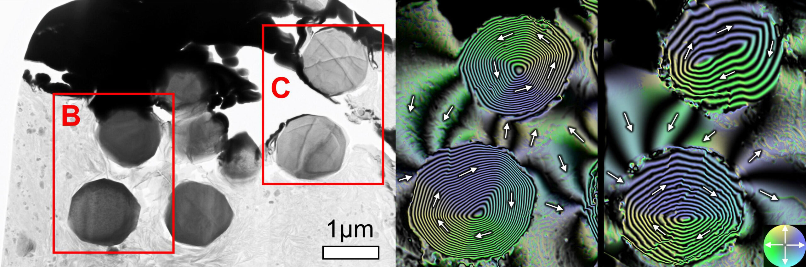Paleomagnetic records inscribed in spherical magnetite (Fe3O4) crystals. Transmission electron microscopy images (A) of magnetite extracted from Ryugu samples and magnetic flux distribution images (B, C) obtained by electron holography. Arrows and colors indicate magnetization direction. The concentric stripes seen inside the particles indicate that the magnetic field lines are entwined in the direction of the arrows (called a helical domain structure). The magnetic field lines seen outside the particle are stray magnetic fields from the particle, reflecting the magnetic environment of the Ryukyu when the interior of the Ryukyu parent body warmed and reactions between water and minerals occurred
