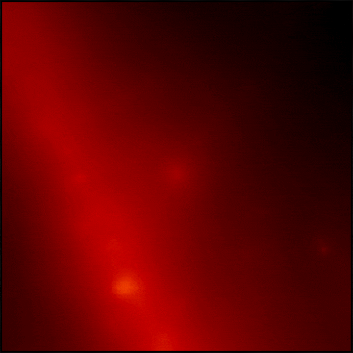 This sequence constructed from Fermi Large Area Telescope data reveals the sky in gamma rays centered on the location of GRB 221009A. Each frame shows gamma rays with energies greater than 100 million electron volts (MeV), where brighter colors indicate a stronger gamma-ray signal. In total, they represent more than 10 hours of observations. The glow from the midplane of our Milky Way galaxy appears as a wide diagonal band. The image is about 20 degrees across. Credit : NASA